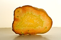 Carrot Slice 2