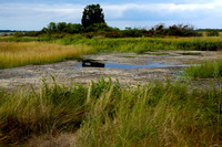 Plum Island Sept 13-5