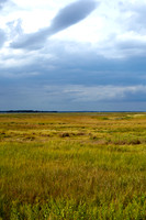 Plum Island Sept 13-4