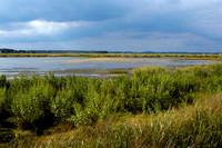 Plum Island Sept 13-1