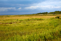 Plum Island Sept 13-3