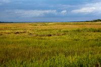 Plum Island Sept 13-2