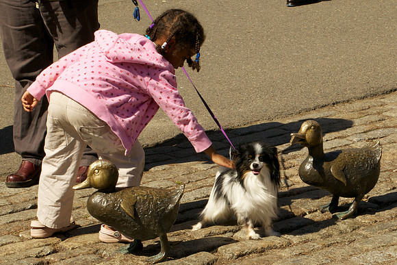 Izzy visits Ducklings