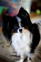 Izzy looking