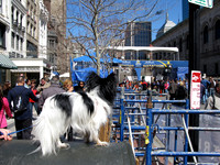 Look! The Finish Line.