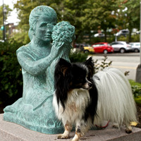Izzy Visits Wellesley