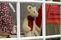Bear in Window