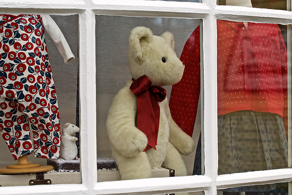 Bear in Window
