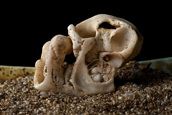 Shell piece
