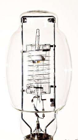 Shrouded Lamp