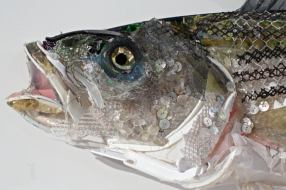Striper Head
