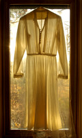 The Wedding Dress
