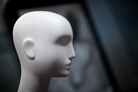 Head