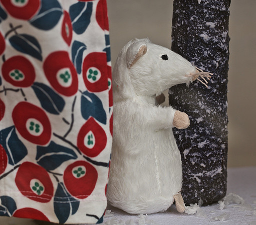 Mouse in Window