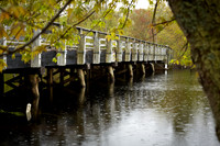 Sherman Bridge Spring 2019