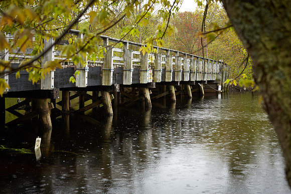 Sherman Bridge Spring 2019