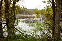 Sudbury River May 2019