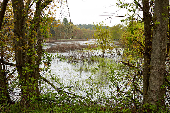 Sudbury River May 2019