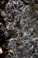 Rough Ice Winter 2019