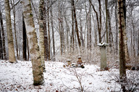 Early Winter Snowfall