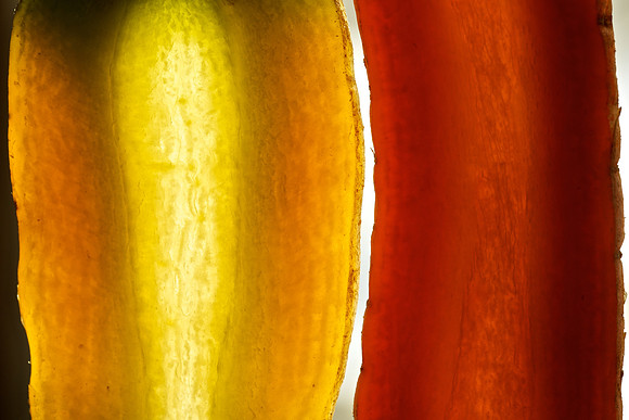 Color Slices