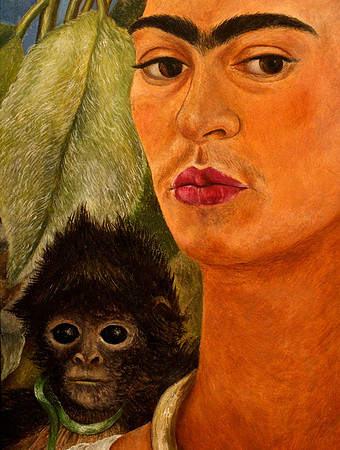 Frida and Monkey
