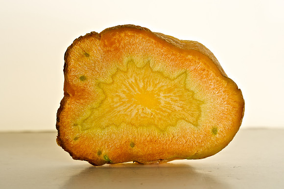 Carrot Slice 2