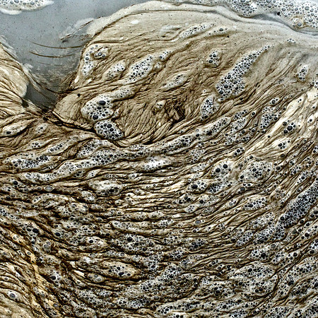 Sudbury Sludge