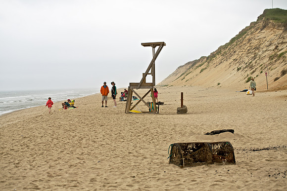 LeConte Hollow