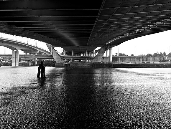 Zakim underbelly