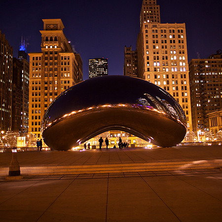 Night Bean