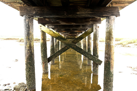Low Tide