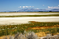 Great Salt Lake (1)