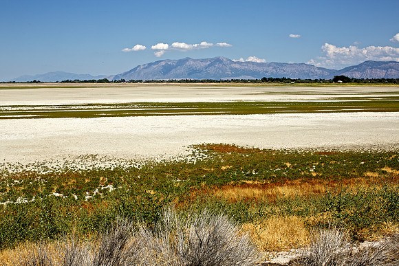 Great Salt Lake (1)