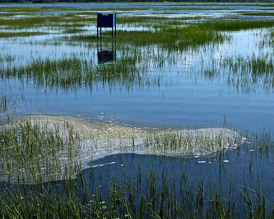 High Tide