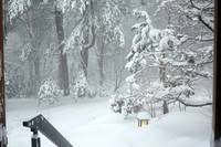 Blizzard Feb 26-2