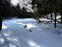 Mt. Misery Upper Pond