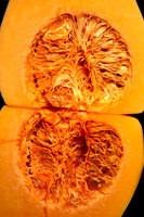 260511 Butternut 1