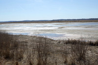 Plum Island Spring2
