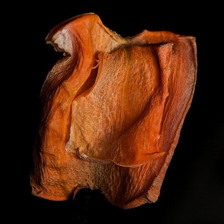 Carrot Art
