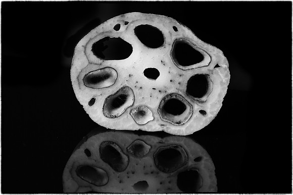 Lotus Root 5