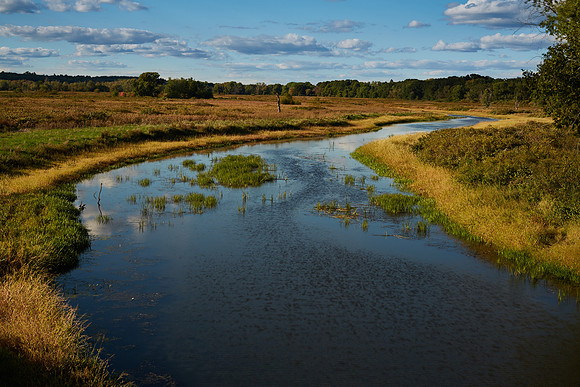 Sudbury River 2016 Drought