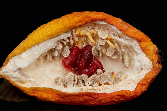Dried Fruit