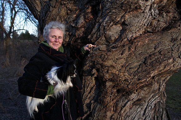 Susan with Big Tree and Small Dog