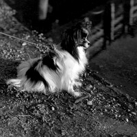Izzy 060114