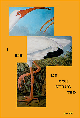 Ibis Deconstructed