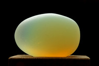 Glass Egg