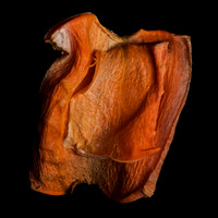 Carrot Art