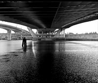 Zakin Underbelly 1