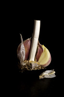 Garlic